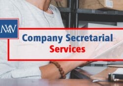 Company Secretarial Services