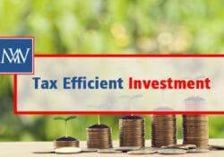 Tax Efficient Investment