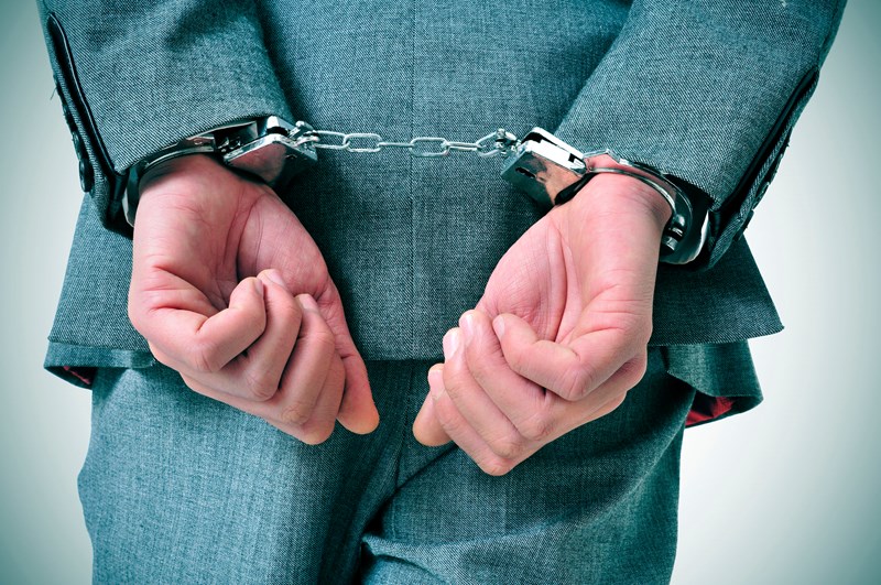 Company director imprisoned