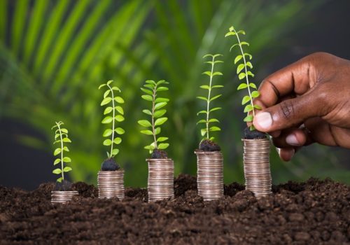 Seed Enterprise Investment Scheme