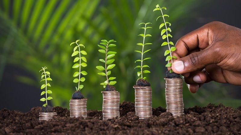 Seed Enterprise Investment Scheme
