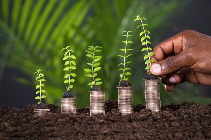 Seed Enterprise Investment Scheme