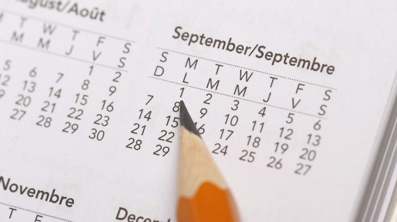 Tax Diary August/September 2019 | Accountants in Brent Park Accountants in East Hanningfield Accountants in Theydon Garnon | Accountants in Perranzabuloe | Accountants in Polgooth