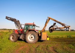 Farm payments during the transition period | Points to consider during transition period | Accountants in Alswear | Accountants in Ringmore | Accountants in Woodbury | Accountants in Charminster | Accountants in Tarrant Gunville | Accountants in Murray Park