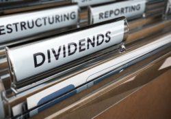 Savings dividends and income