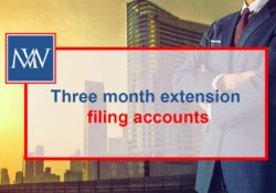 Three month extension filing accounts