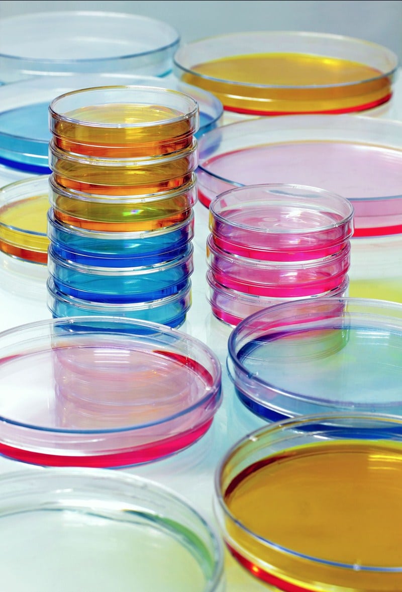 Update on proposed coronavirus