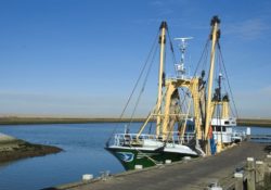 support for England fishing industry