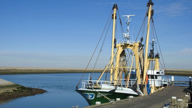 support for England fishing industry