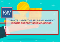 GRANTS UNDER THE SELF-EMPLOYMENT INCOME SUPPORT SCHEME (CSEISS)