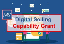 DIGITAL SELLING CAPABILITY GRANT