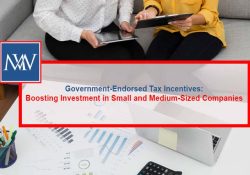 Government-Endorsed Tax Incentives: Boosting Investment in Small and Medium-Sized Companies