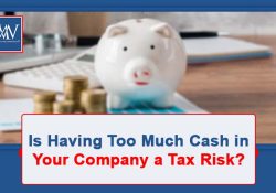 Is Having Too Much Cash in Your Company a Tax Risk?